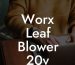 Worx Leaf Blower 20v