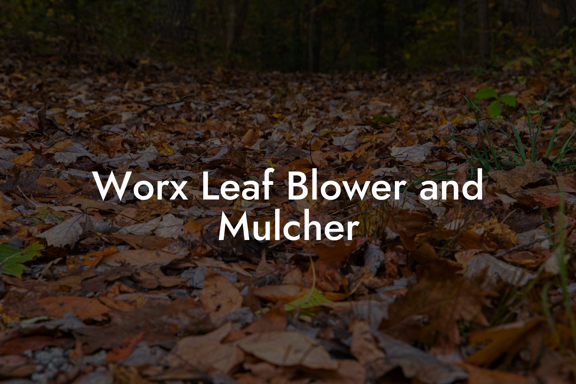 Worx Leaf Blower and Mulcher