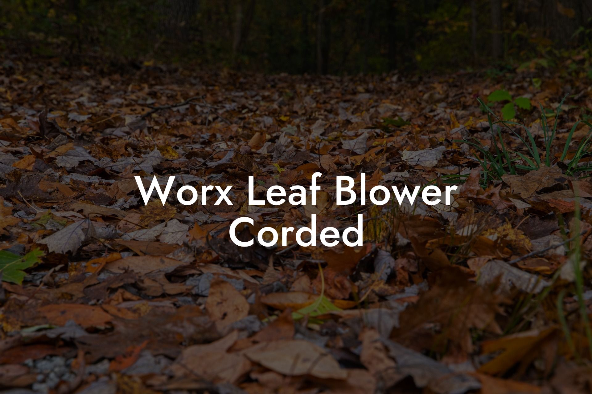 Worx Leaf Blower Corded