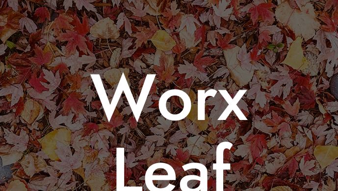 Worx Leaf Blower/mulcher