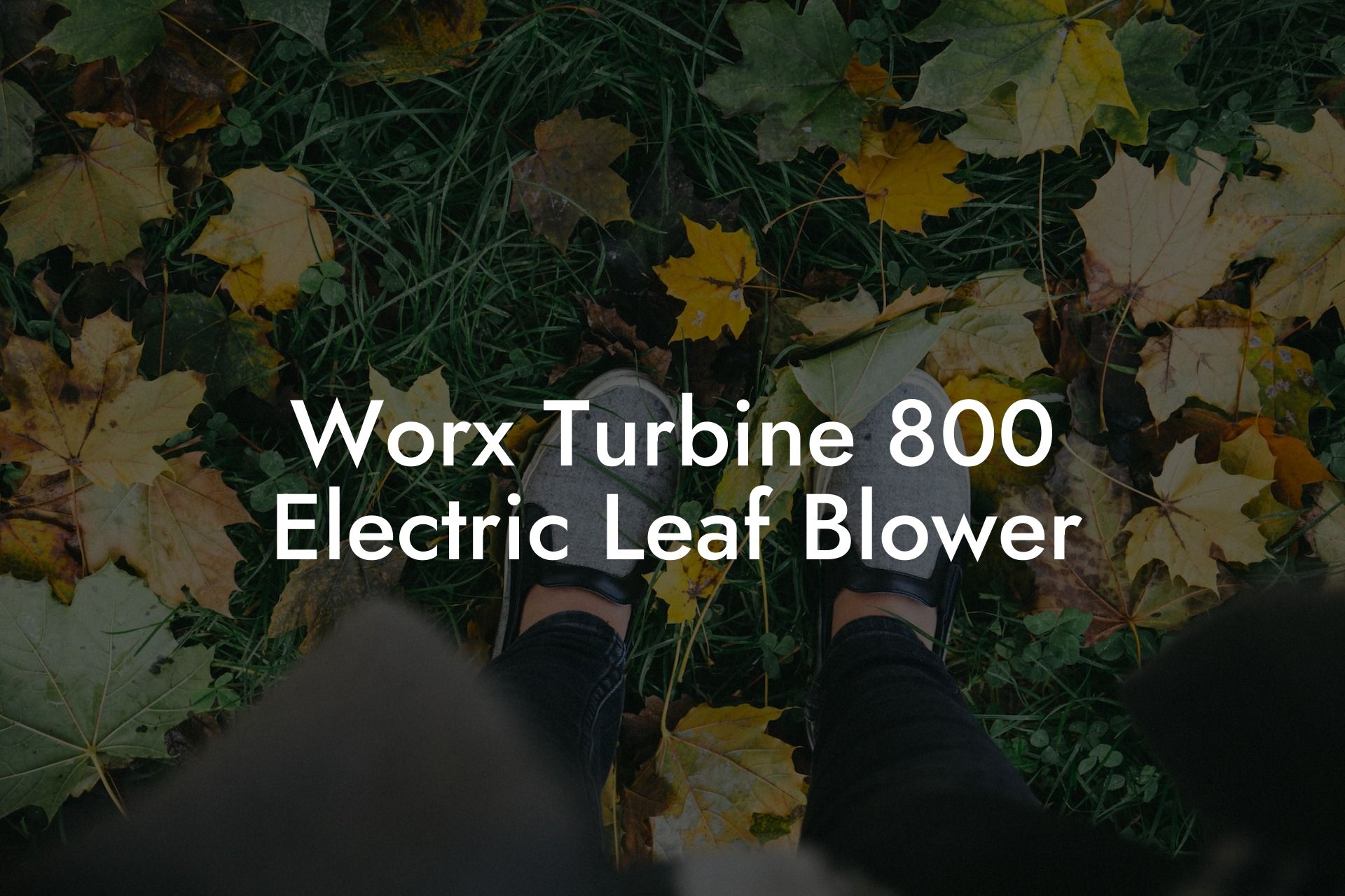 Worx Turbine 800 Electric Leaf Blower